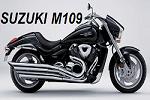 Atlas Plating Suzuki M109 and similar bikes price list